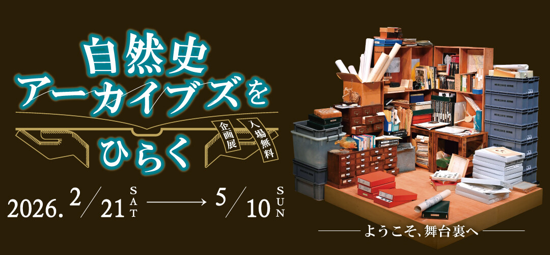 2025kikaku_mainvisual_MB