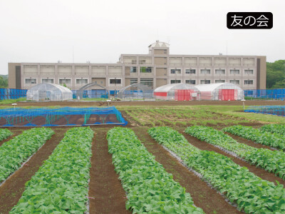 友の会講座「神奈川県農業技術センター」見学会