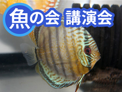 魚の会（うおのかい） 令和7年度第4回講演会「アフリカの魚たちと考える: 魚類の社会、子育て、協力、そして人間性」