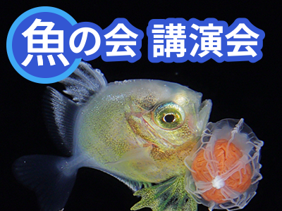 魚の会（うおのかい） 令和8年度第3回講演会「フィールドで見る稚魚たちの生存戦略 ―夜の海で出会う小さなサバイバーたち―」