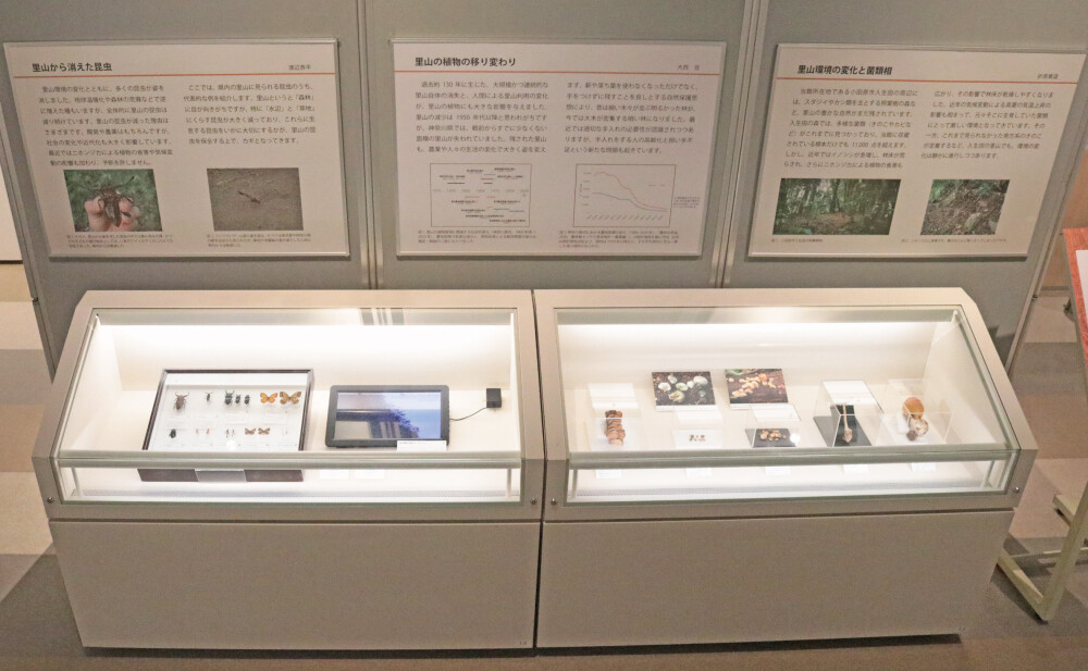 4_utsuriyuku_satoyama.jpg