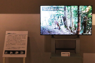 5-2_eizo_gallary.jpg
