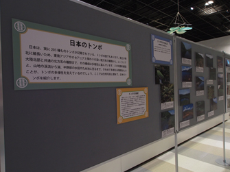 日本のトンボ生息環境