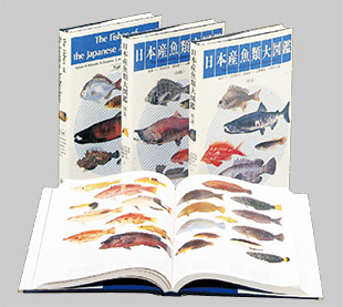 魚類図鑑