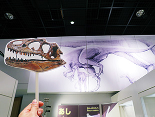フクワライサウルス