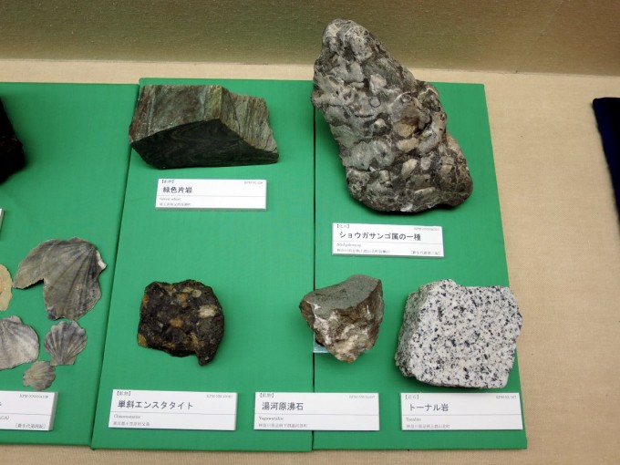 県の石展示の様子3