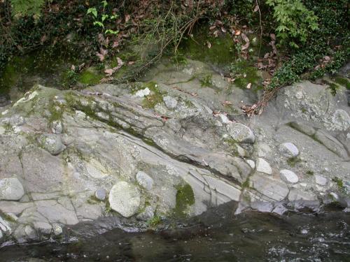 皆瀬川河床の足柄層群瀬戸層