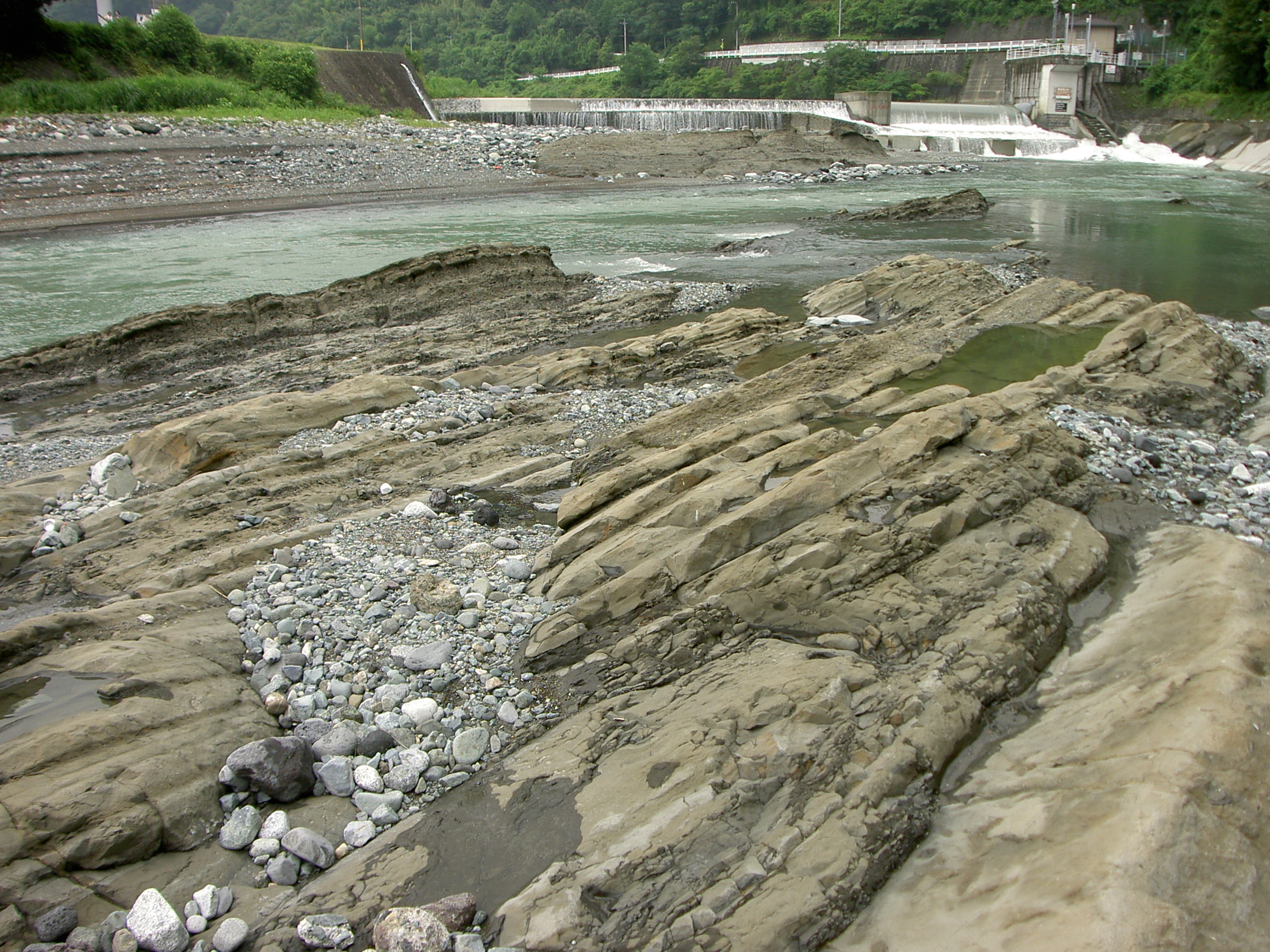 嵐橋下の足柄層群畑層