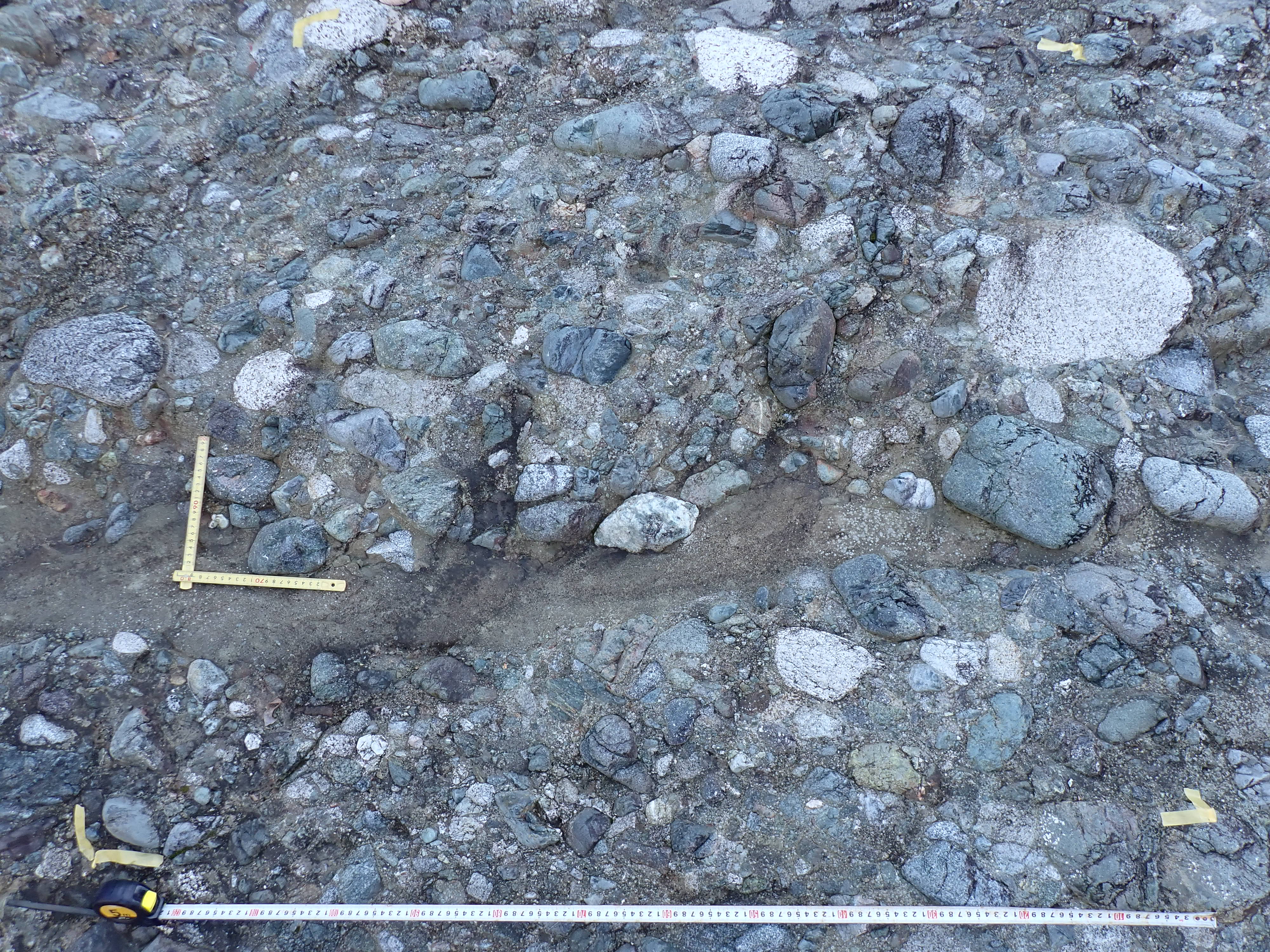 足柄層群塩沢層の礫岩（拡大）