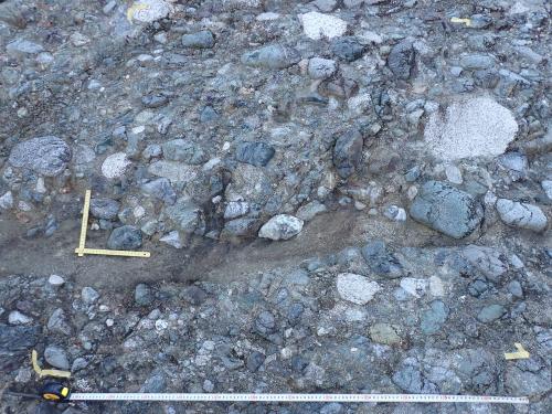 足柄層群塩沢層の礫岩（拡大）