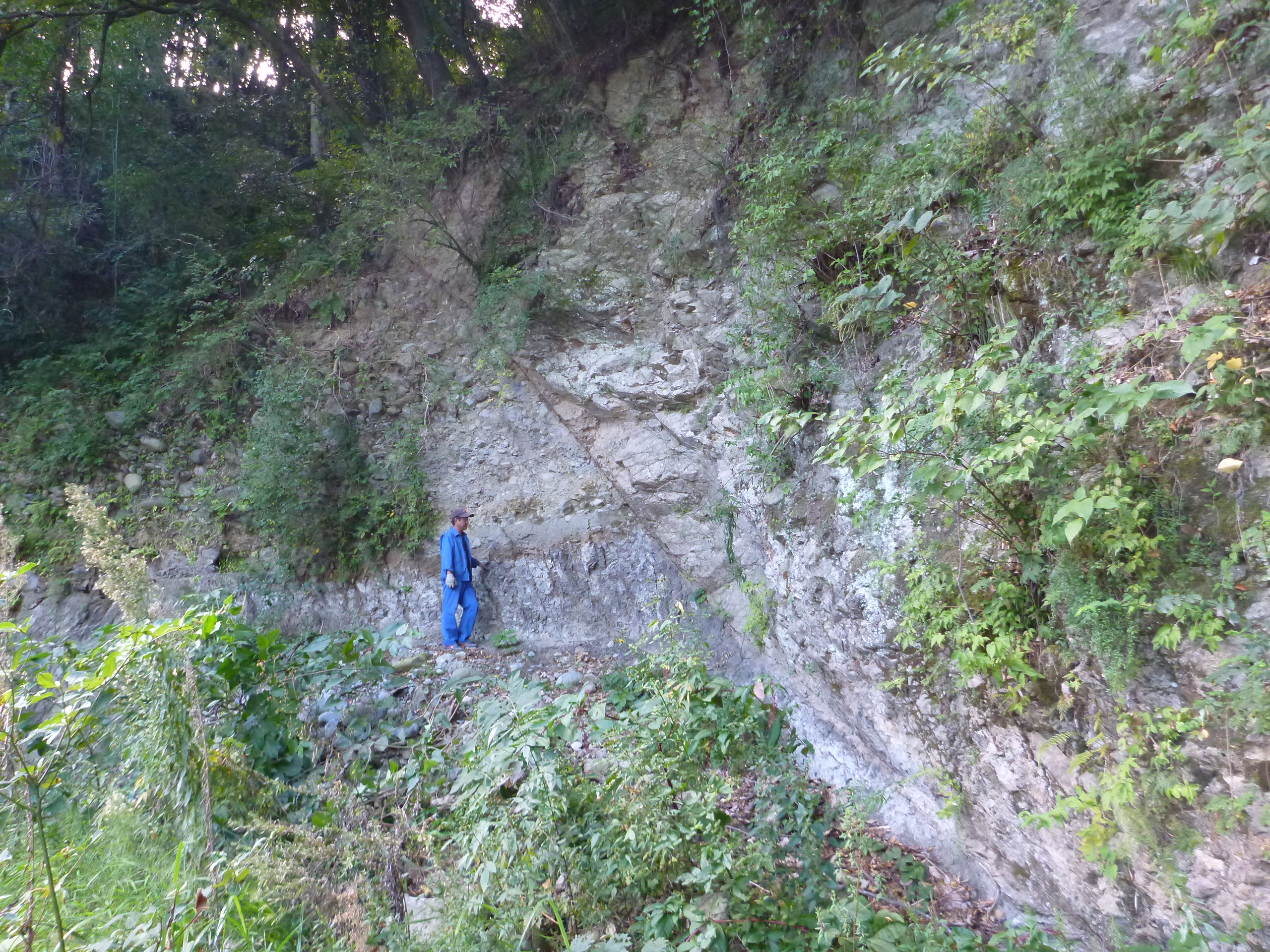 山北町平山の平山断層