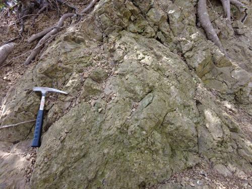 高麗山層群千畳敷層の火山礫凝灰岩