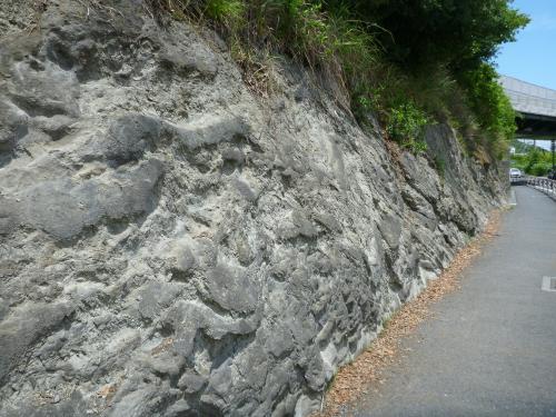 高麗山層群北大磯層のスランプ構造