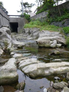 鴫立沢の大磯層
