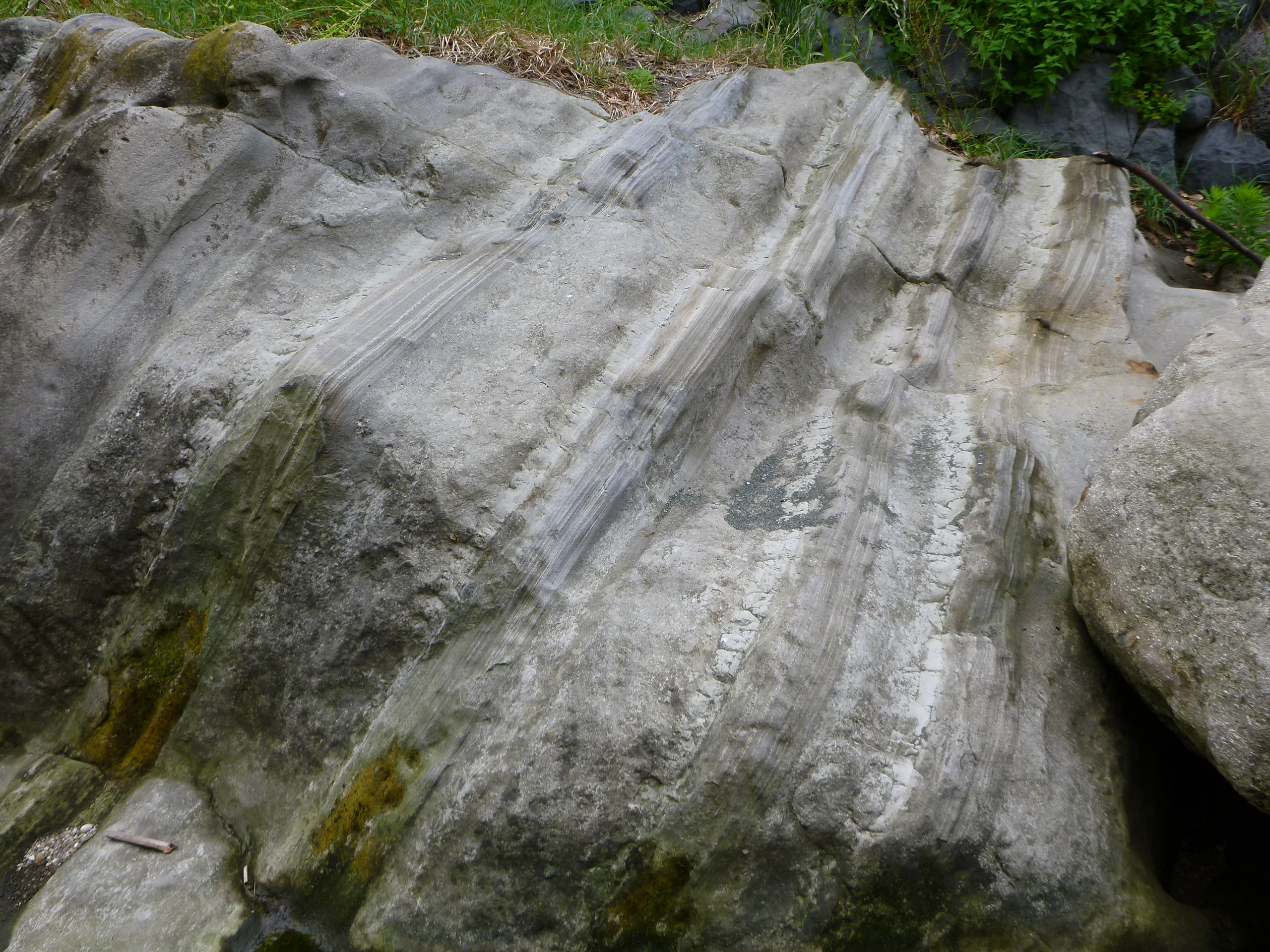 鴫立沢の大磯層（拡大１）