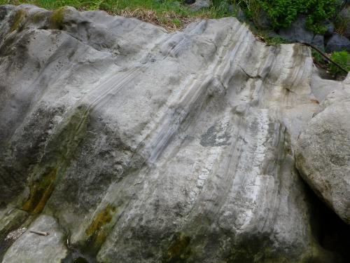 鴫立沢の大磯層（拡大１）