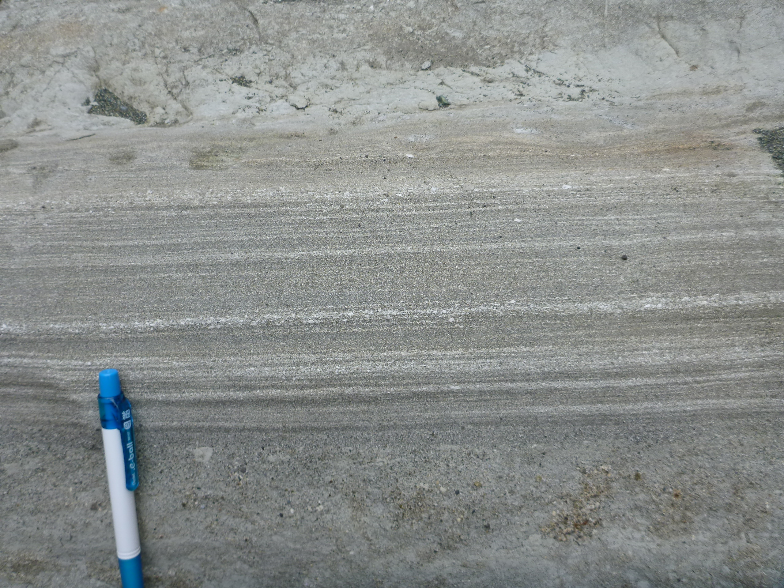 鴫立沢の大磯層（拡大２）