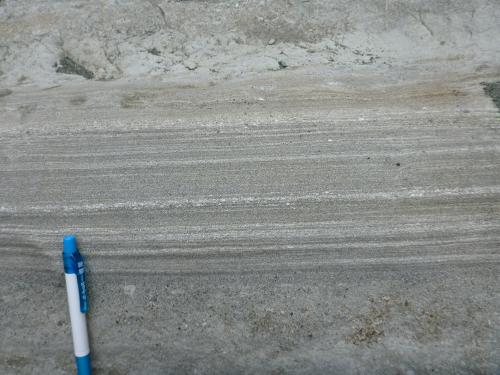 鴫立沢の大磯層（拡大２）