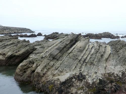 照ヶ崎海岸の大磯層