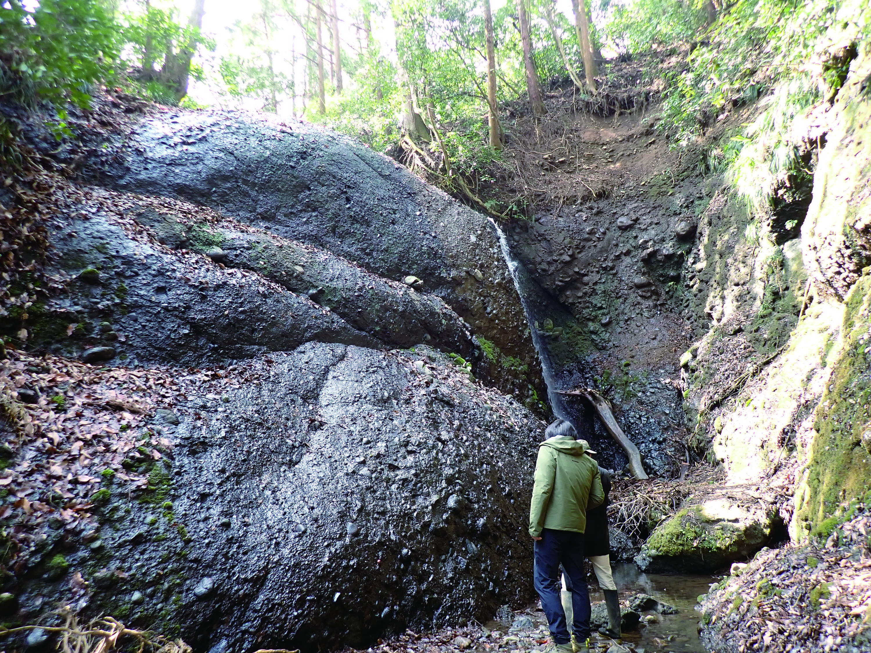 霧降の滝の鷹取山礫岩層