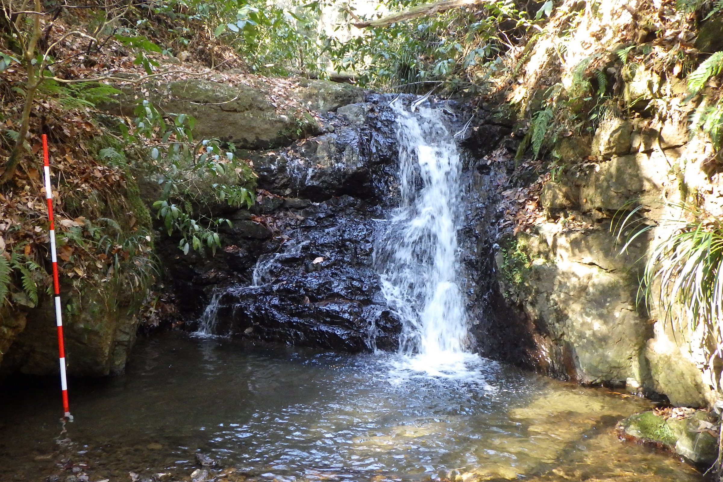 大井町柳の篠窪火砕岩類