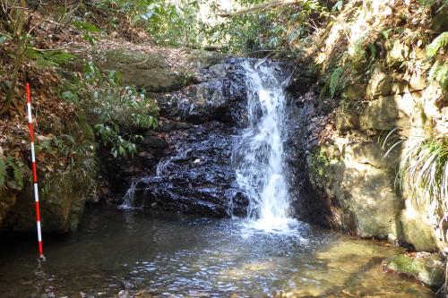 大井町柳の篠窪火砕岩類