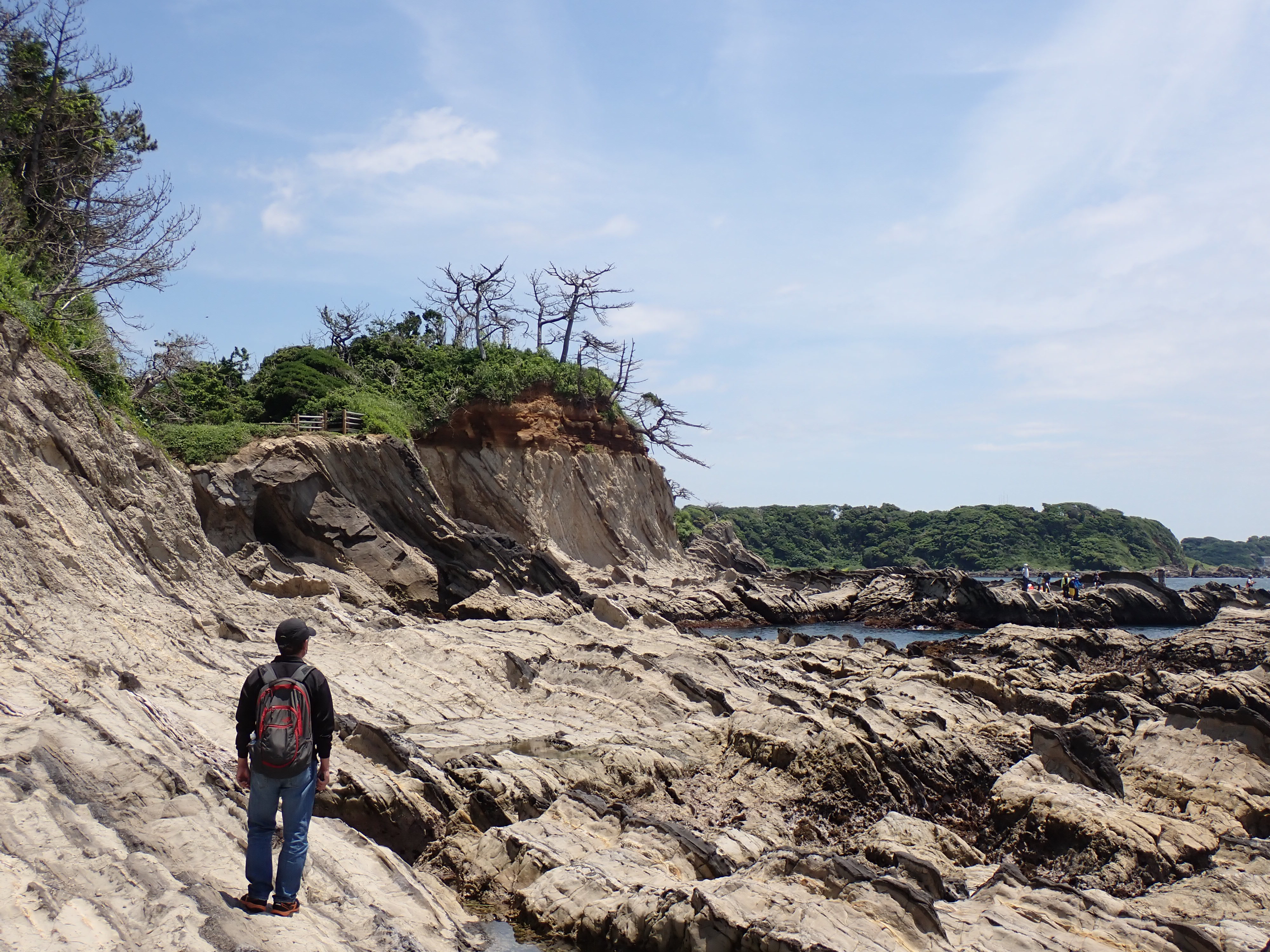 荒崎海岸の三浦層群三崎層と関東ローム層 荒崎海岸の三浦層群三崎層と関東ローム層