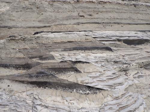 荒崎海岸の三浦層群三崎層（断層で繰り返す地層）