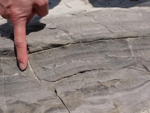 荒崎海岸の三浦層群三崎層（火炎構造）