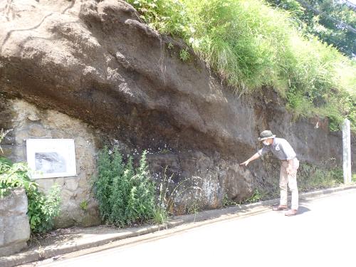 鐙摺の不整合と逗子動物群