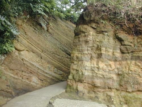 観音崎公園の切り通しの三浦層群池子層