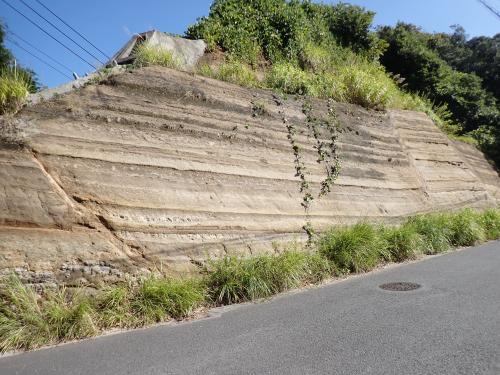 鎌倉市手広の池子層(引き) 鎌倉市手広の池子層(引き)