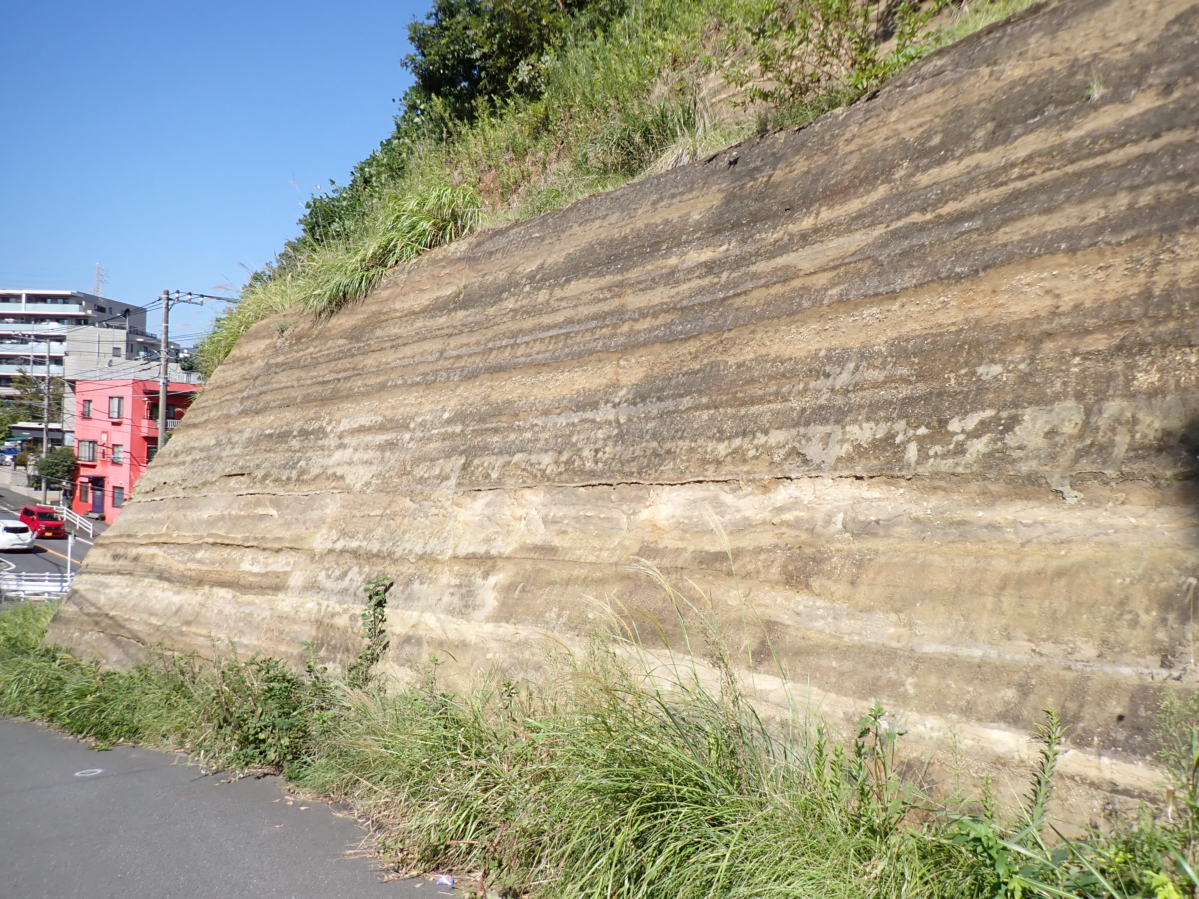 鎌倉市手広の池子層 鎌倉市手広の池子層