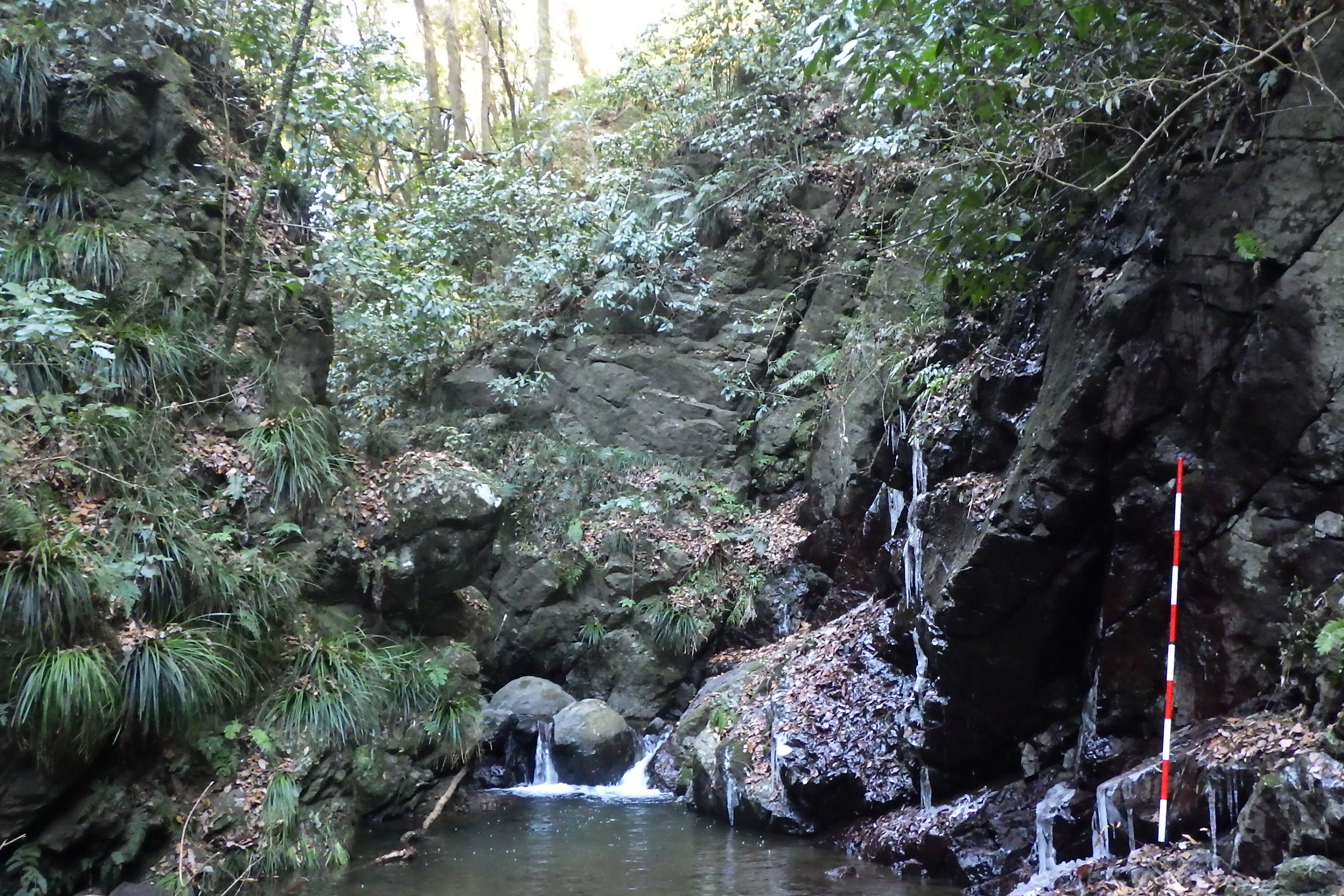 篠窪火砕岩類がつくり出す滝