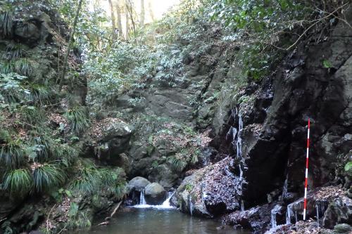 篠窪火砕岩類がつくり出す滝
