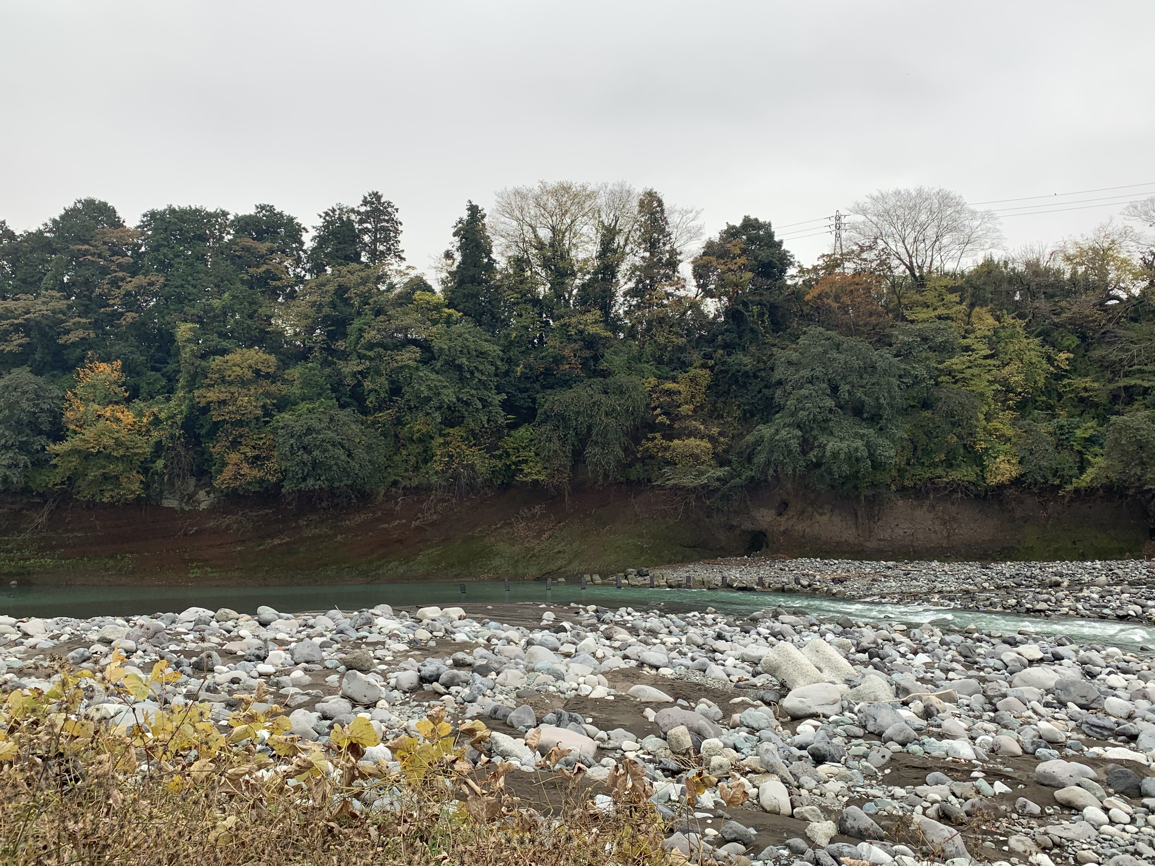 新大口橋の酒匂川右岸の関東ローム層と箱根火山岩類 新大口橋の酒匂川右岸の関東ローム層と箱根火山岩類