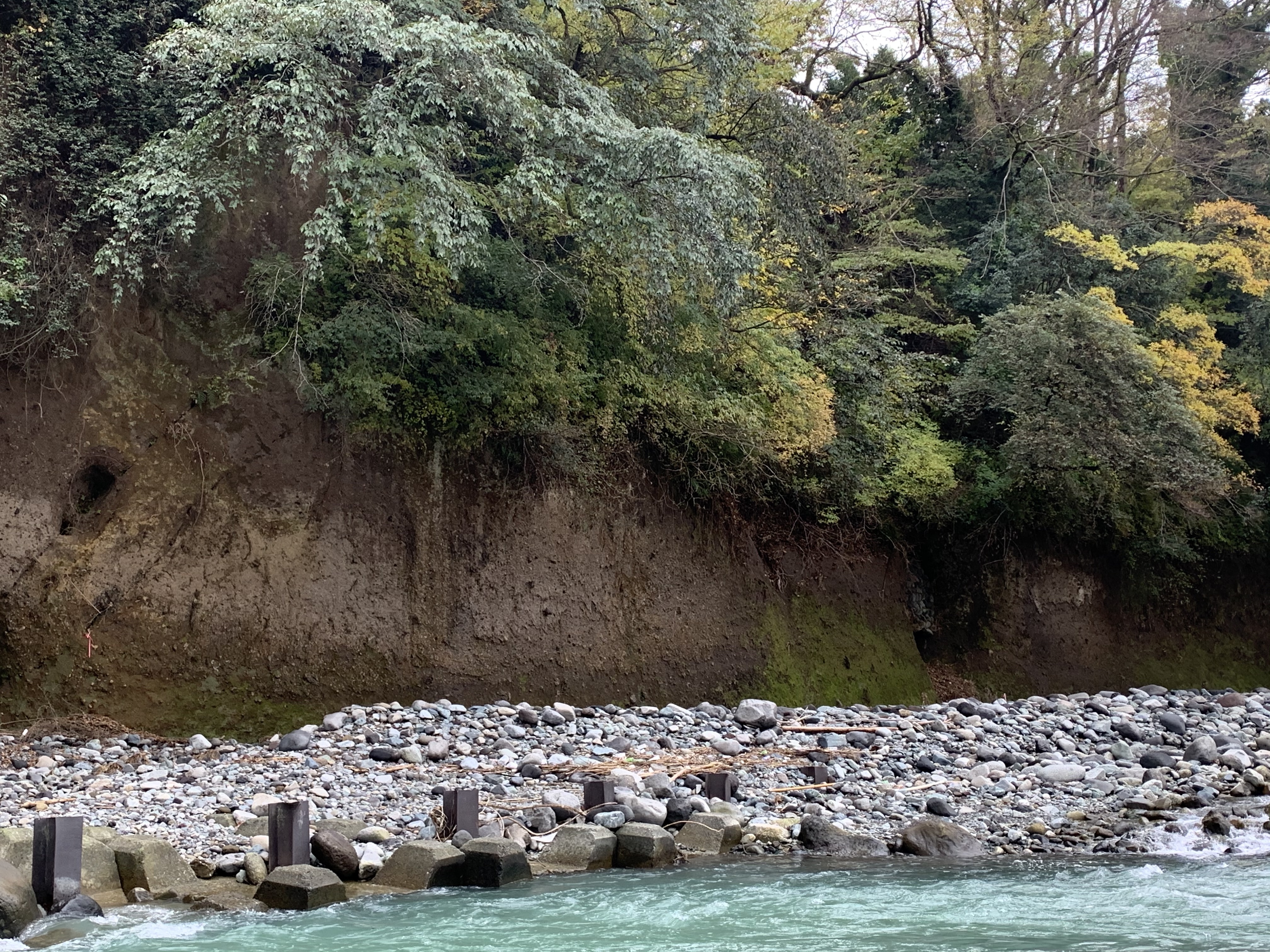 箱根東京テフラの火砕流堆積物 箱根東京テフラの火砕流堆積物
