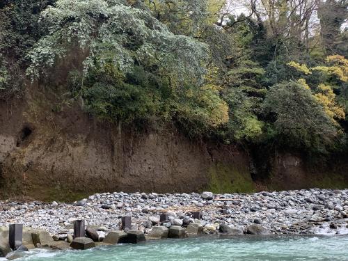 箱根東京テフラの火砕流堆積物 箱根東京テフラの火砕流堆積物