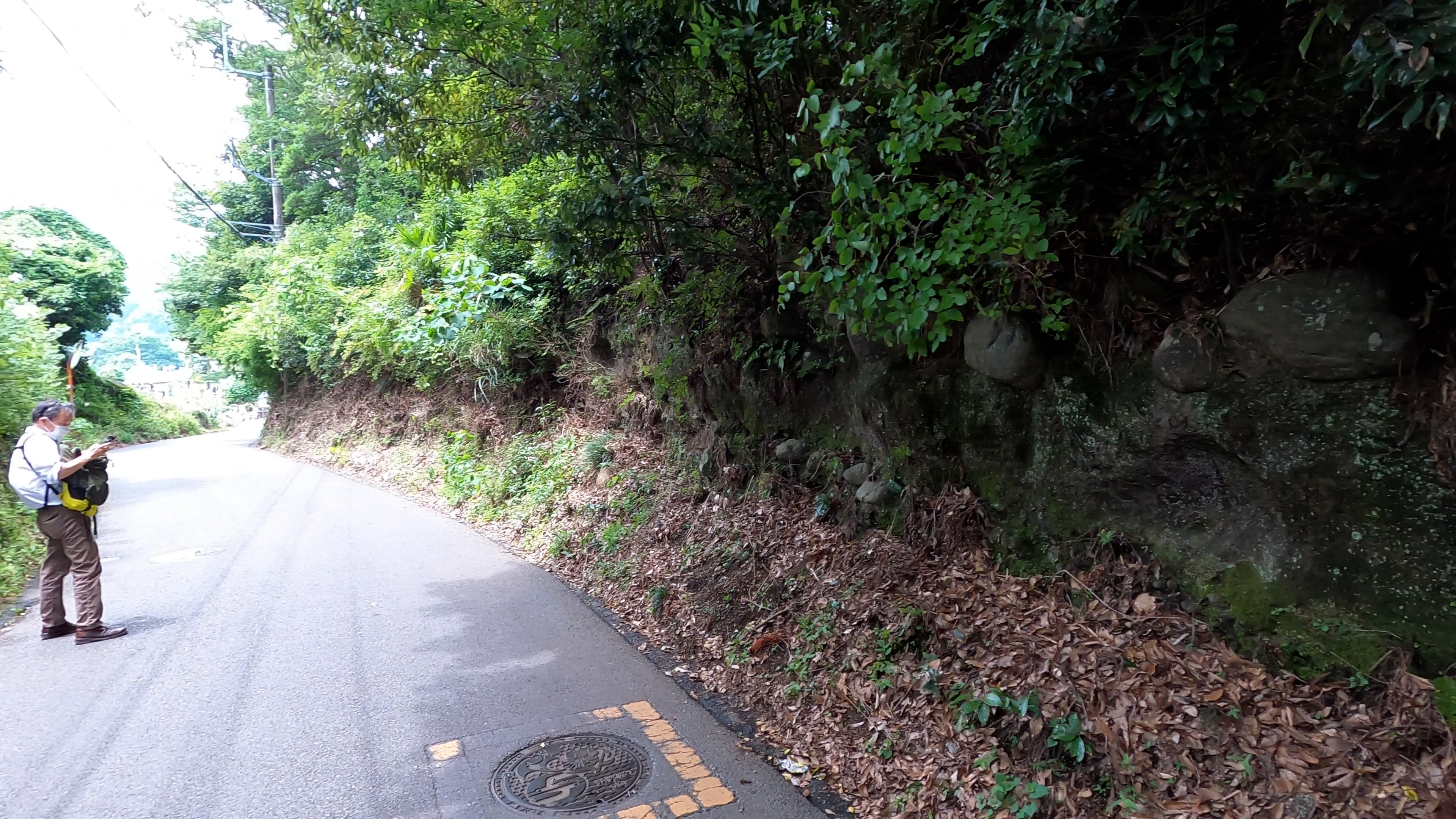 山王坂における露頭の外観