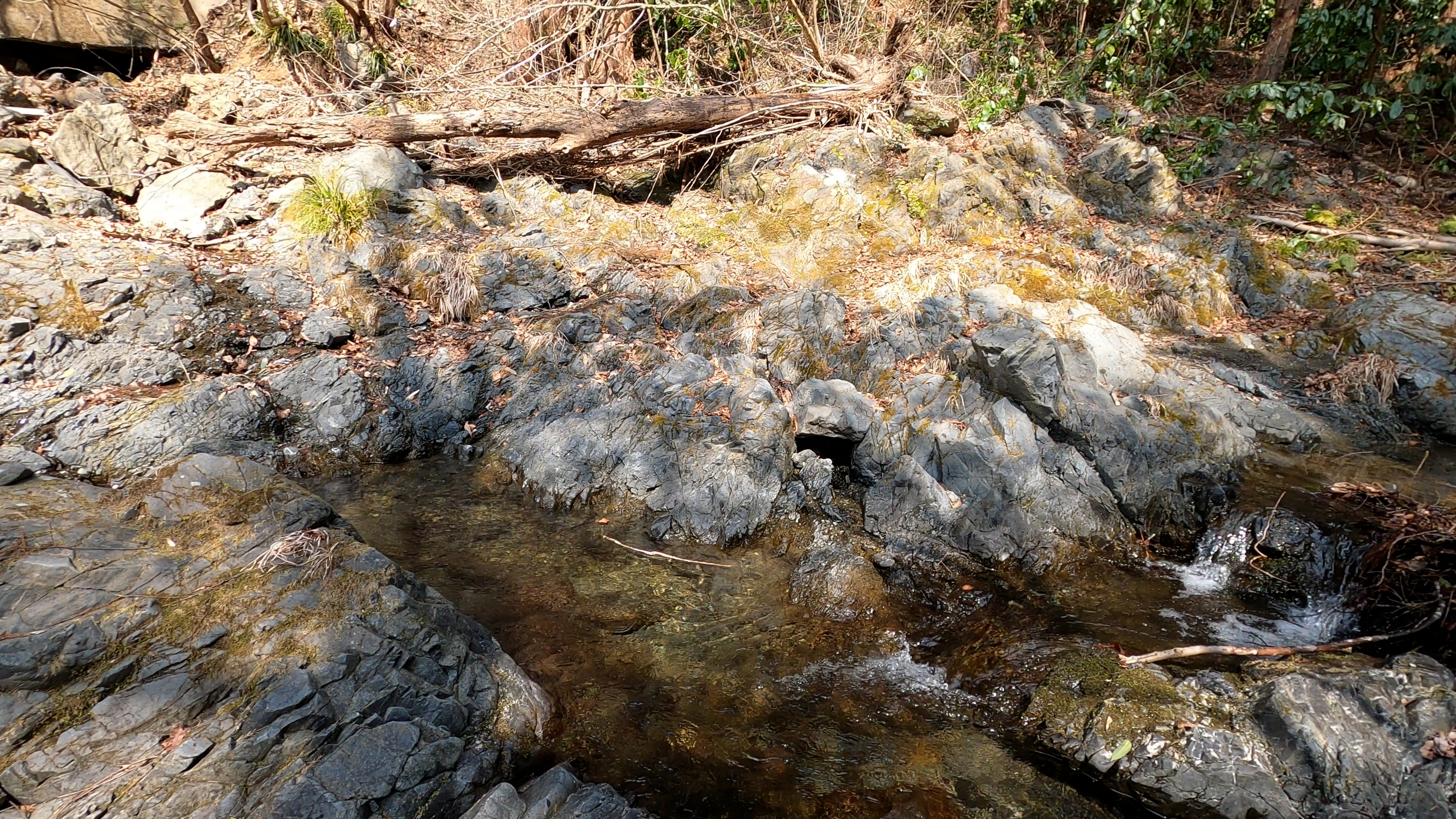 栃谷川河床の小仏層群小伏層の砂岩