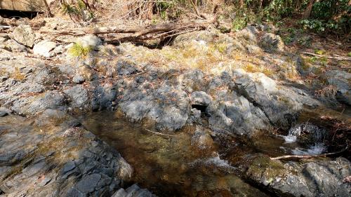 栃谷川河床の小仏層群小伏層の砂岩