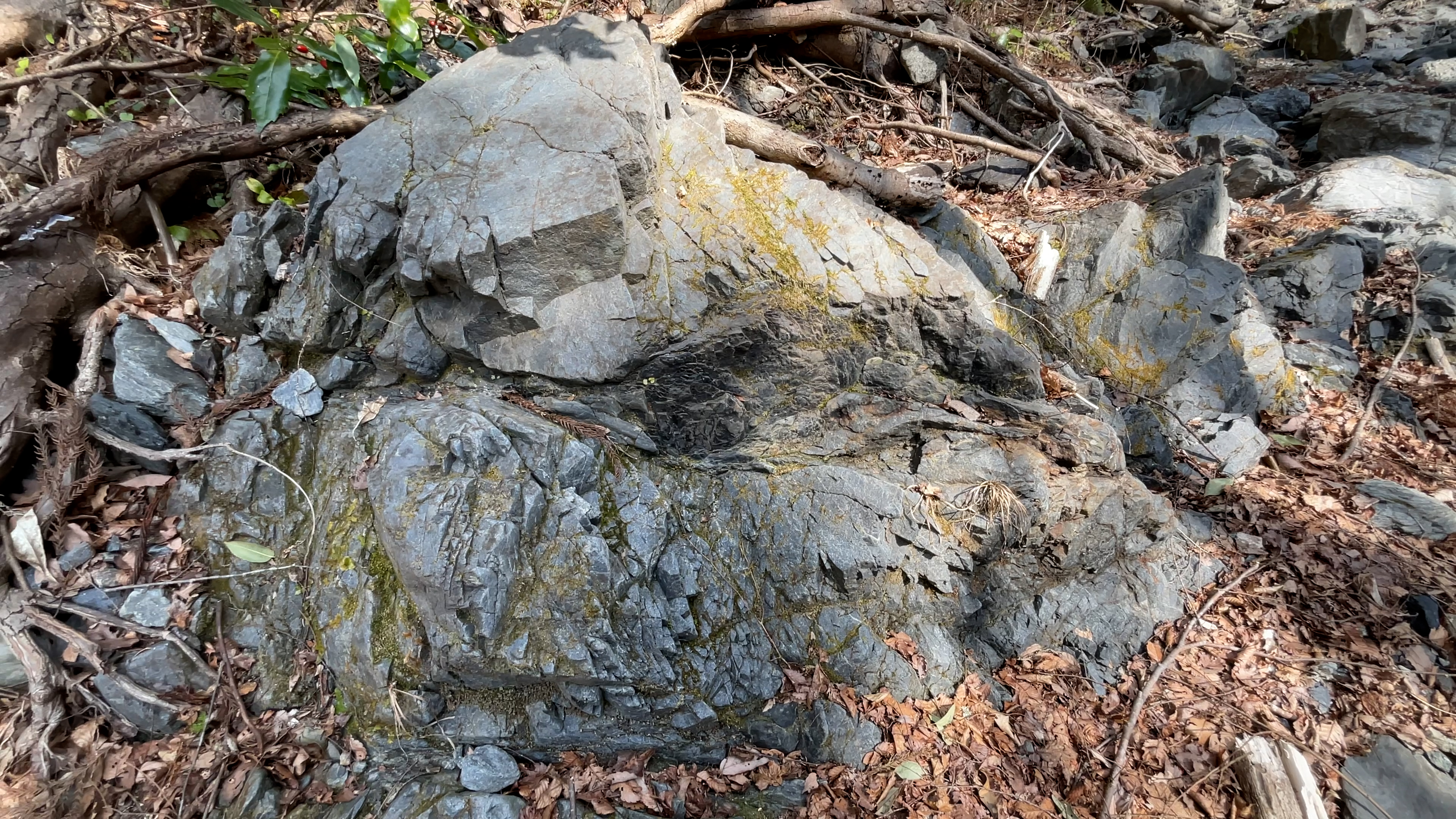 栃谷川河床の小仏層群小伏層の砂岩