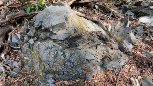 栃谷川河床の小仏層群小伏層の砂岩