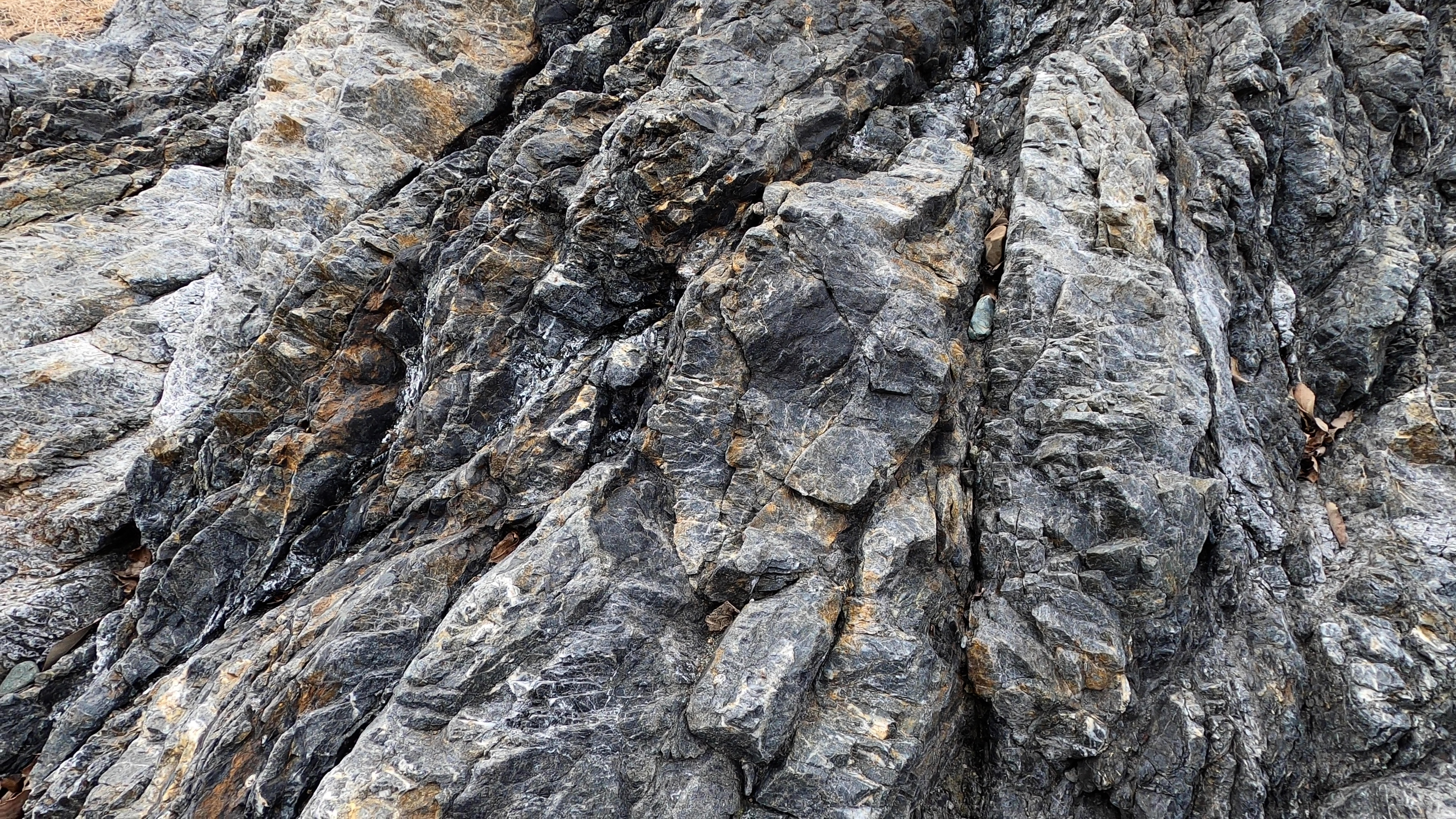 道志川河床の相模湖層群の砂岩と黒色頁岩（拡大2）