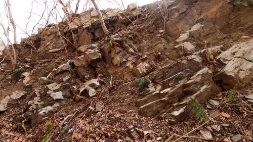 和田峠にみられる小仏層群盆堀川層