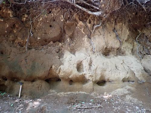 大正坂の関東ローム層