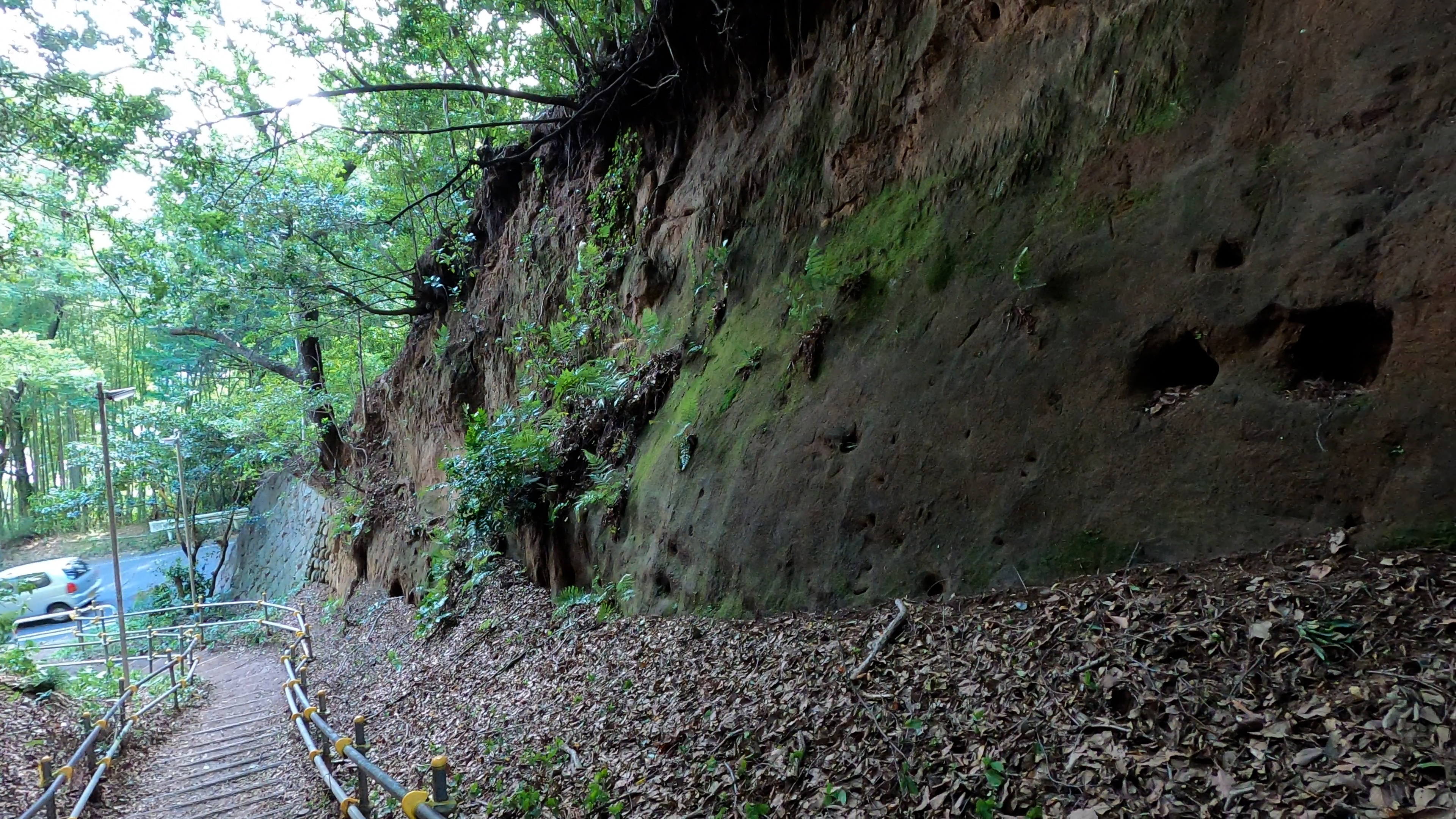 大正坂の関東ローム層