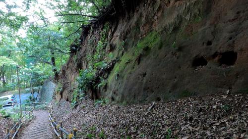 大正坂の関東ローム層