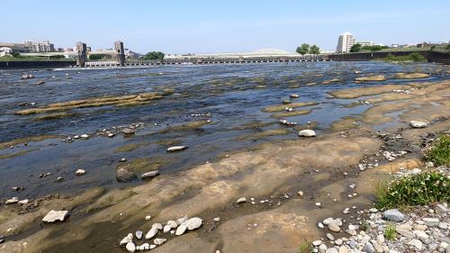 多摩川河床に広がる飯室層