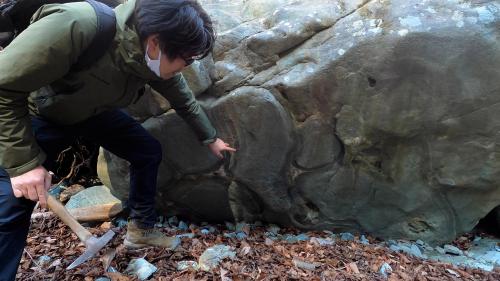 枕状溶岩の拡大写真 枕状溶岩の拡大写真